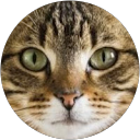 Miss N profile picture
